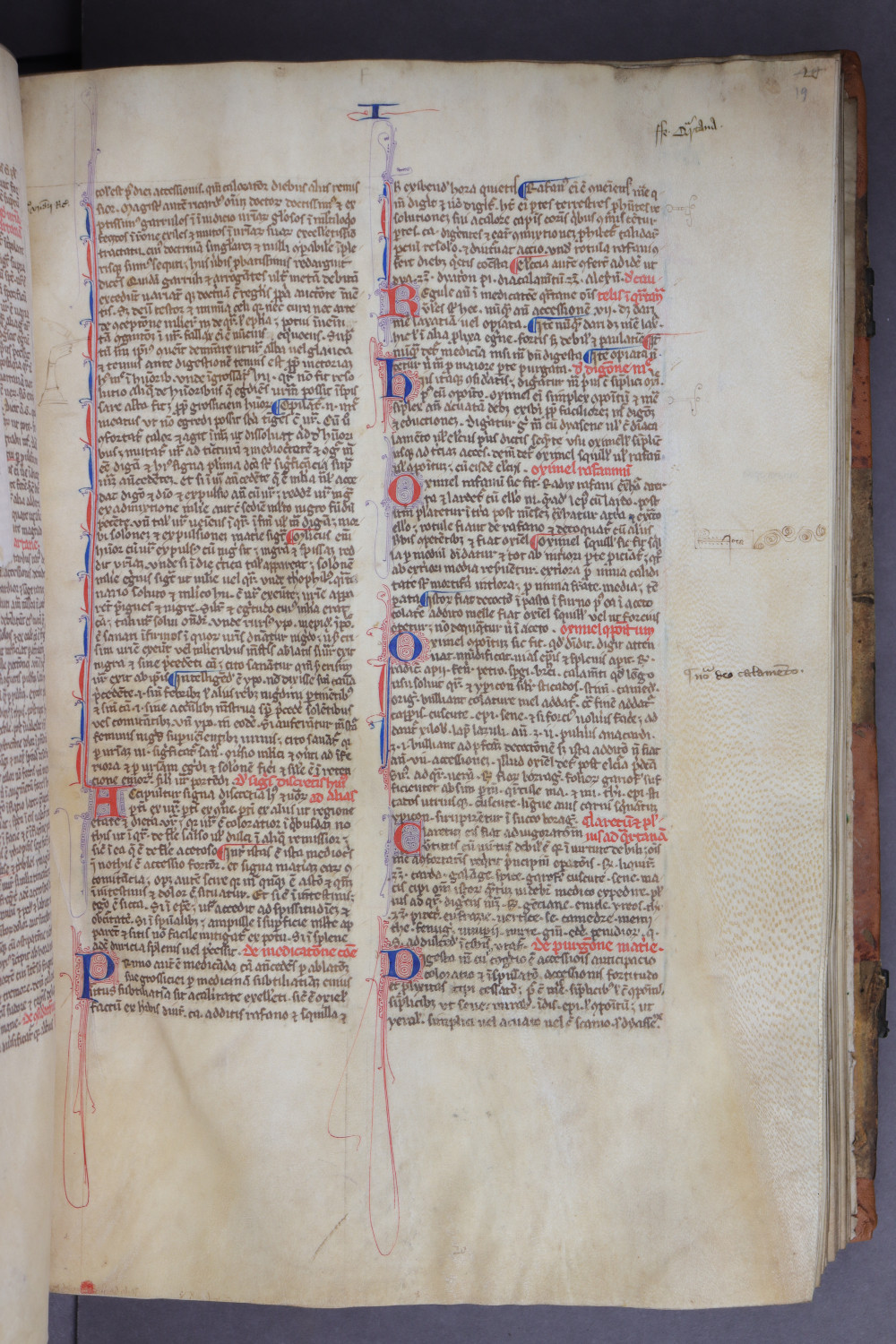 Folio 19 recto